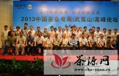 2013中国茶业电商（武夷山）高峰论坛成功举办