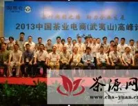 2013中国茶业电商（武夷山）高峰论坛成功举办