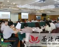 杭州西湖区召开九曲红梅茶产业工作专题会议