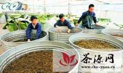 晴隆县大力开发茶叶精深加工产品