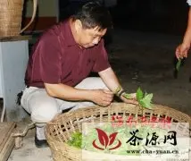 海南乌石农场领导夜查茶叶收青质量
