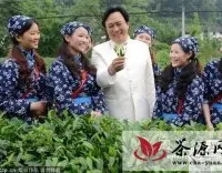 唐国强现身遂川县拍摄茶叶宣传片