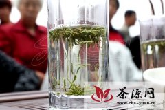 海阳市举办“2013海阳首届绿茶推介会”