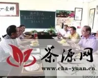 中国茶文化国际交流协会代表团来滇考察