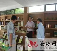 双浦政协工委委员调研九曲红梅茶产业发展