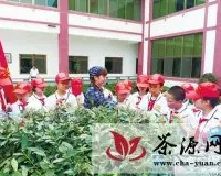 晋江百名小记者感受安溪茶文化