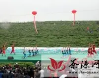 湖南江华首届茶文化节开幕
