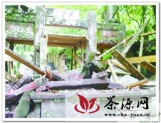 遭受“4.20雅安地震”的雅安茶产业