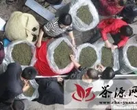 “中国名茶”安溪铁观音春茶上市