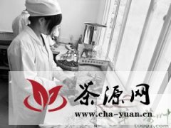 汉中市高端茶叶价格跌破近五成