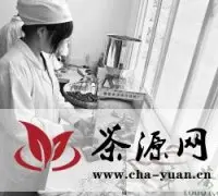 汉中市高端茶叶价格跌破近五成