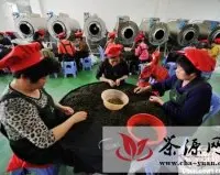 关于临沧市高原特色糖茶胶产业发展的建议