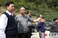 中粮集团领导考察湄潭茶产业发展情况