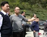 中粮集团领导考察湄潭茶产业发展情况
