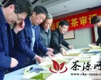 武义县举行武阳春雨系列茶审评会