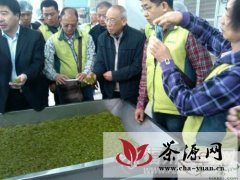 台湾茶商组团来福州参访茉莉花茶种植技术