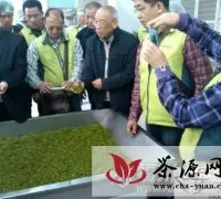 台湾茶商组团来福州参访茉莉花茶种植技术