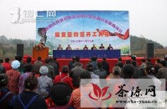 印江县引资6000万元建设白茶基地