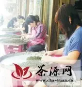 漳州秋茶全面上市 今年秋茶香味更醇