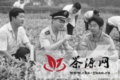 龙游县工商局助“圣堂白雪”白茶品牌兴业