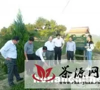 信阳浉河代区长邵七一一行考察福建茶产业