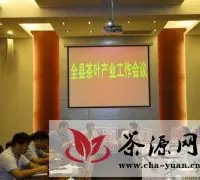 全县茶叶产业工作会议在澧县召开