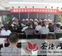 泰顺召开县茶叶协会第四届会员代表大会