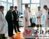 贵州大学专家测定凤冈以茶养猪实验