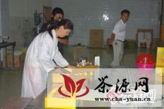 凤庆县红花油茶成产业新亮点