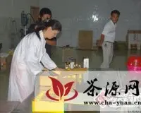凤庆县红花油茶成产业新亮点