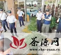 台湾：课营业税 茶农晒茶菁抗议