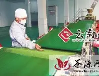 云南昌宁县加快茶叶产业转型升级