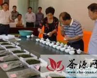 惠州电视台到安溪县拍摄安溪铁观音茶文化专题片