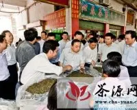 国家人社部调研安溪县茶业专业人才市场