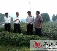 县农委副主任陈诗勤到中关徐龙示范茶场指导工作