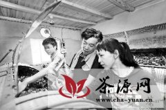 建阳市举办第二届水仙茶技能大赛