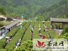 武汉木兰清凉寨茶文化节开幕