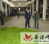 歙县长陔乡强化茶叶生产监管