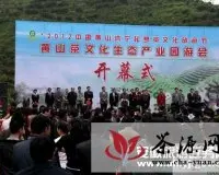 黄山茶文化生态产业园游会举行