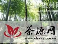 第十一届中国茶圣节将于本周六开幕