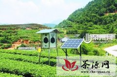 安溪县五项重点工作提升茶业基础管理