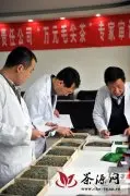 贵州都匀毛尖“万元毛尖茶”评审在都匀举行