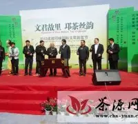 2012成都邛崃首届国际文君新茗节开幕