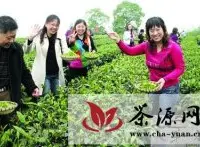 重庆“永川秀芽”茶获得地理商标