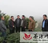 三明市政协组织开展明台茶产业对接调研