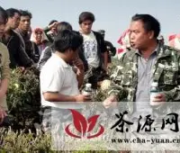 勐海西定举办茶长白蚧虫防治培训班