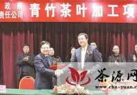 青竹茶叶加工项目与天全县政府正式签约
