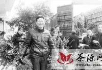 遂川县大力发展高产油茶产业