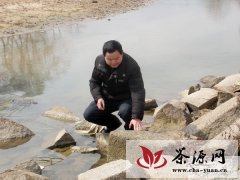 岳西县发现千年古茶叶山场罗源场