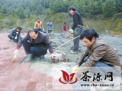 珙县3月中下旬拟举办首届茶花节